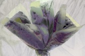 074_91-0603-1