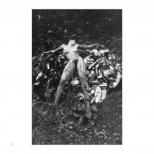 FIRST PORTFOLIO, p. 3, #186-05-34