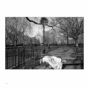 FIRST PORTFOLIO, p. 6, #622-97-5