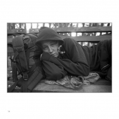 FIRST PORTFOLIO, p. 14, #209-99-8