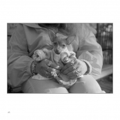 FIRST PORTFOLIO, p. 43, #552-97-21