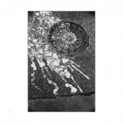 STREET POEMS, p. 8, #35-06-20