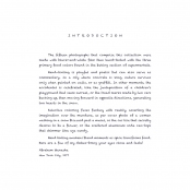 HAND TINTED WORK, Introduction