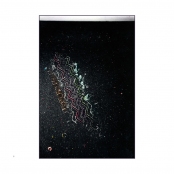 HAND TINTED WORK, p. 4, #85-03-19