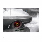 HAND TINTED WORK, p. 9, #77-06-19