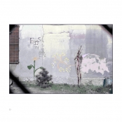 HAND TINTED WORK, p. 13, #87-06-41