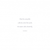 AFTER THE RAIN, Richard Bach quote