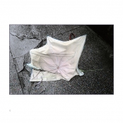 AFTER THE RAIN, p. 12, #257-09-12