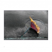 AFTER THE RAIN, p. 15, #77-06-38