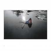 AFTER THE RAIN, p. 16, #259-09-37