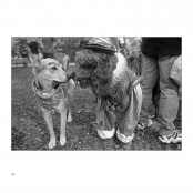 COUPLES, p. 20, #309-99-6A