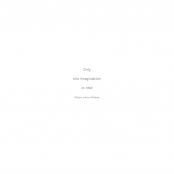 TEA BAGS, William Carlos Williams quote