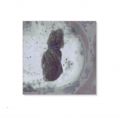 TEA BAGS, p. 4, #54-0503-1A