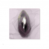 TEA BAGS, p. 6, #33-0503-28