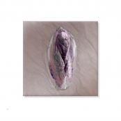 TEA BAGS, p. 7, #49-0503-32