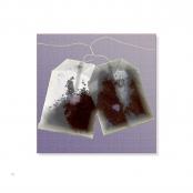 TEA BAGS, p. 10, #38-0503-24