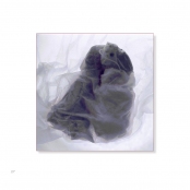 TEA BAGS, p. 27, #22-0403-15