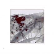 TEA BAGS, p. 28, #21-0403-15