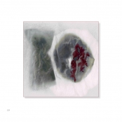 TEA BAGS, p.29, #60-0503-19