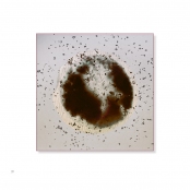 TEA BAGS, p. 31, #77-0503-35