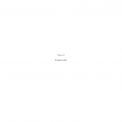 TEA BAGS, Part II Botanicals