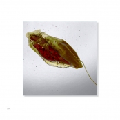 TEA BAGS, p. 38, #77-0503-30