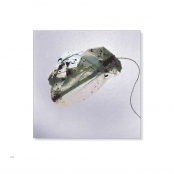 TEA BAGS, p. 40, #46-0503-16