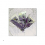 TEA BAGS, p. 43, #91-0603-1