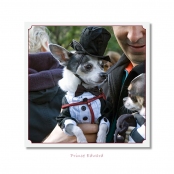 CELEBRITIES IN DISGUISE, Prince Edward