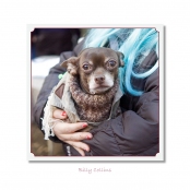 CELEBRITIES IN DISGUISE, Billy Collins