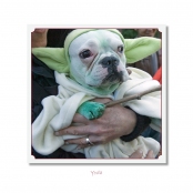 CELEBRITIES IN DISGUISE, Yoda