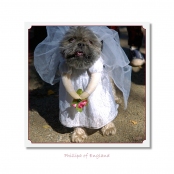 CELEBRITIES IN DISGUISE, Phillipa of England