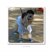 CELEBRITIES IN DISGUISE, Lou Gehrig