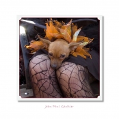 CELEBRITIES IN DISGUISE, Jean Paul Gaultier