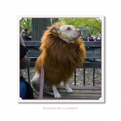 CELEBRITIES IN DISGUISE, Richard the Lionheart