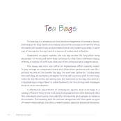 DIPPING INTO LIGHT; A Lifetime of Photography, p. 124