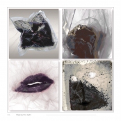 DIPPING INTO LIGHT; A Lifetime of Photography, p. 126