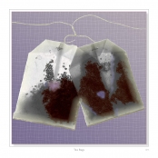 DIPPING INTO LIGHT; A Lifetime of Photography, p. 129