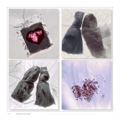 DIPPING INTO LIGHT; A Lifetime of Photography, p. 130