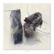 DIPPING INTO LIGHT; A Lifetime of Photography, p. 131