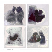 DIPPING INTO LIGHT; A Lifetime of Photography, p. 132