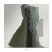 DIPPING INTO LIGHT; A Lifetime of Photography, p. 133