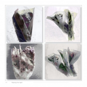 DIPPING INTO LIGHT; A Lifetime of Photography, p. 134