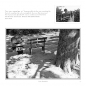 DIPPING INTO LIGHT; A Lifetime of Photography, p. 19