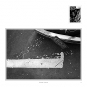 DIPPING INTO LIGHT; A Lifetime of Photography, p. 35