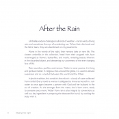 DIPPING INTO LIGHT; A Lifetime of Photography, p. 42