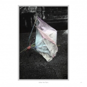 DIPPING INTO LIGHT; A Lifetime of Photography, p. 45