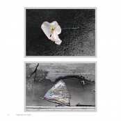 DIPPING INTO LIGHT; A Lifetime of Photography, p. 46