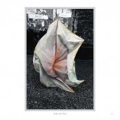 DIPPING INTO LIGHT; A Lifetime of Photography, p. 47