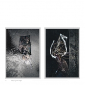 DIPPING INTO LIGHT; A Lifetime of Photography, p. 48